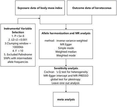 Exploring the causal relationship between body mass index and keratoconus: a Mendelian randomization study